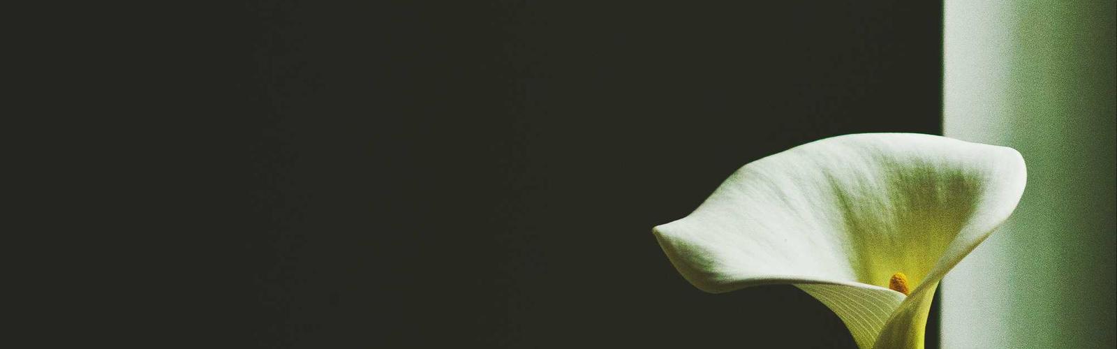 أثاث فاخر بأسعار مخفضة